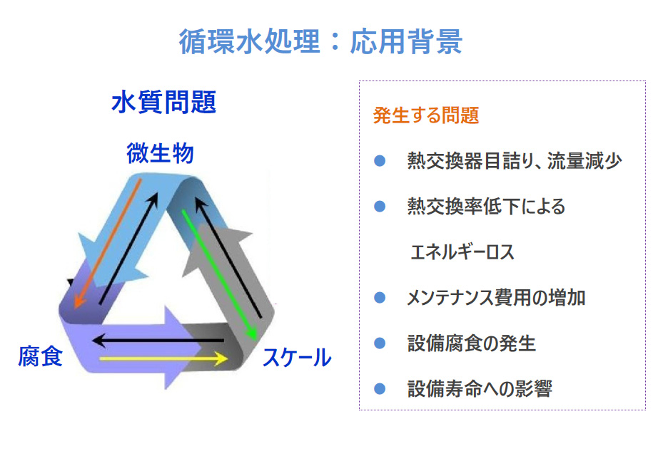 1699593346822223.jpg 11.jpg