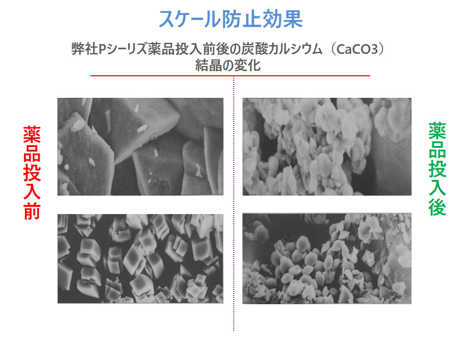 1699593406889084.jpg 11-3.jpg