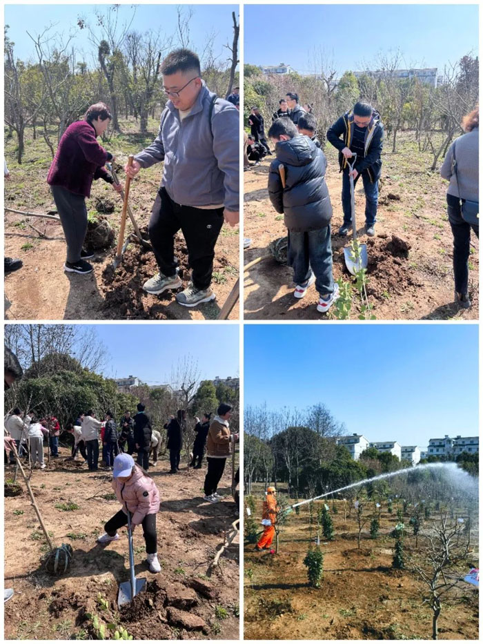 1712043115124803.jpg 03.jpg